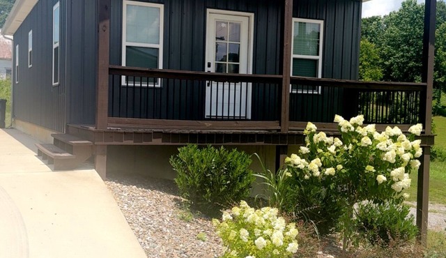 Charming Cabin located within miles of Dale Hollow Lake State Park-Cabin#1