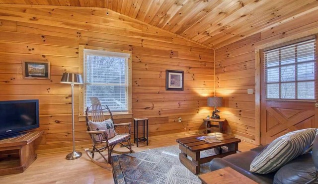 Classic lake cabin with WiFi, deck, kitchen, partial AC - dogs OK
