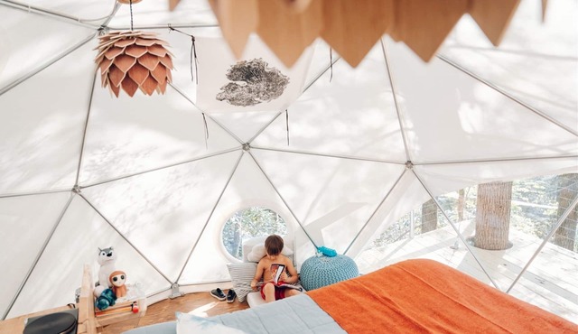 .Cloud Dome Treehouse | 1 Bed, 1 Bath