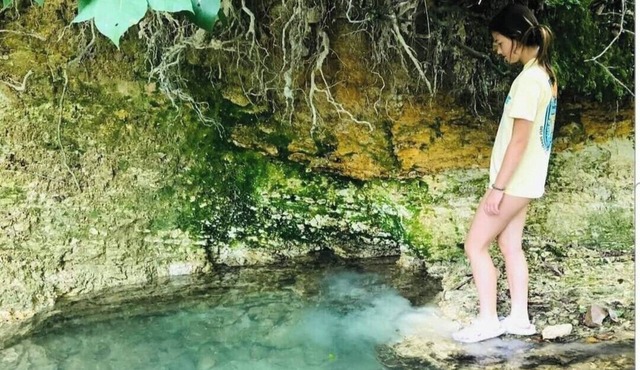 Country Sunshine Cabins