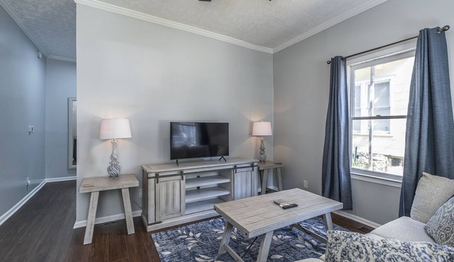 Cozy 1-bedroom in Lexington