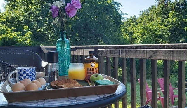 Cozy 2-bedroom Guesthome in Harrison with AC, bathtub and firepit