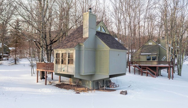 Cozy Cabin in Black Bear