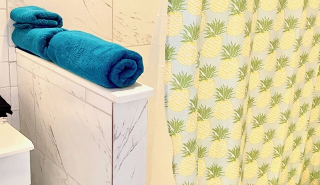 Cozy cottage in charming Treme of New Orleans, King Suite, Free Parking