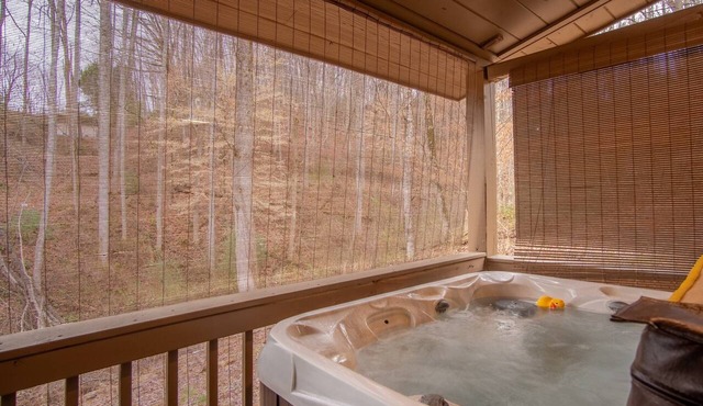 Cozy Hot Tub Cabin!