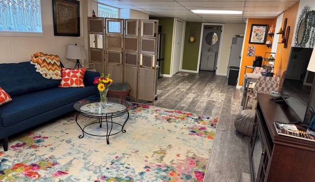 Cozy Mid-Century Walk-Out Basement 1-BDR Apt in Maryville TN, 1-3 Mth Rental