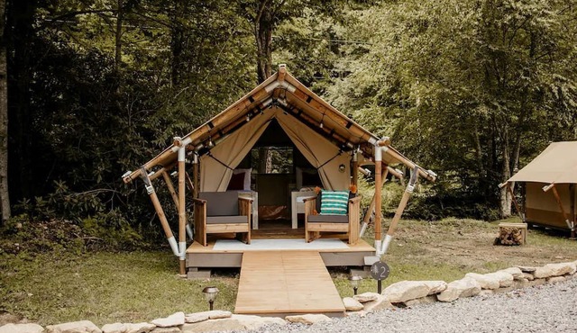Cozy Safari Tent for Two in Erwin, Tennessee