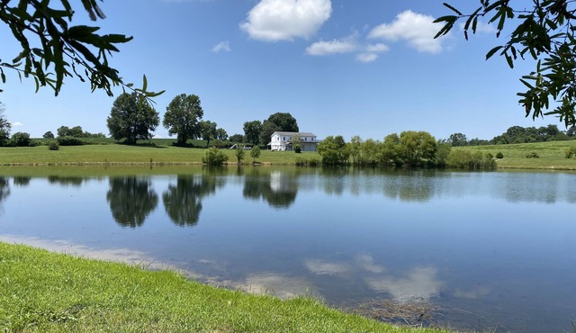 Dale Hollow Lake Vacation Home. Room and comfort for family and friends!