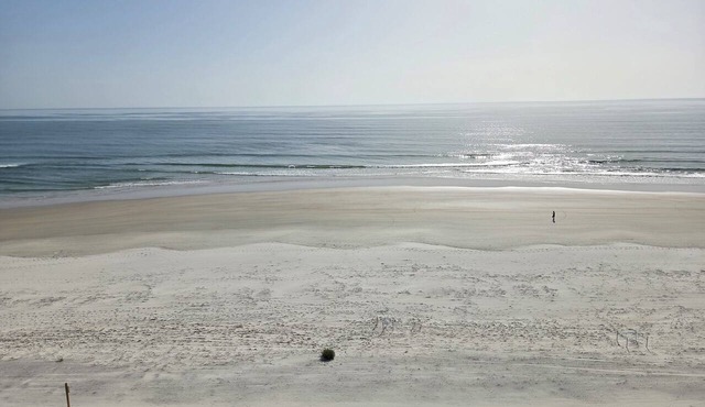 Direct Ocean Front Condo at Towers of Ponce Inlet