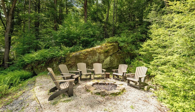 Dog Friendly Cozy Wooded Retreat w/Hot Tub & Fire Pit