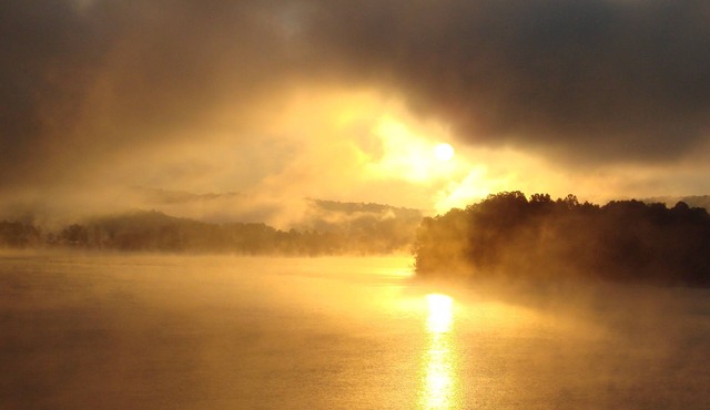 Dream-inn Norris lake Front, Gentle Grade, Breathtaking View, Covered Slip