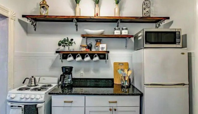 ❤DT Victorian Apt D❤ 1br~Walk to DT/APSU~Firepit❤