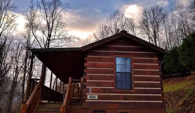 Elk Cabin - 2 Bedroom/1 Bath Vacation Rental