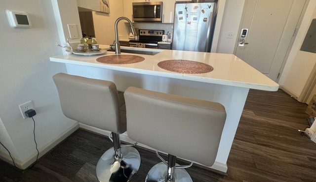 Entire Luxury Apartment in Crystal City