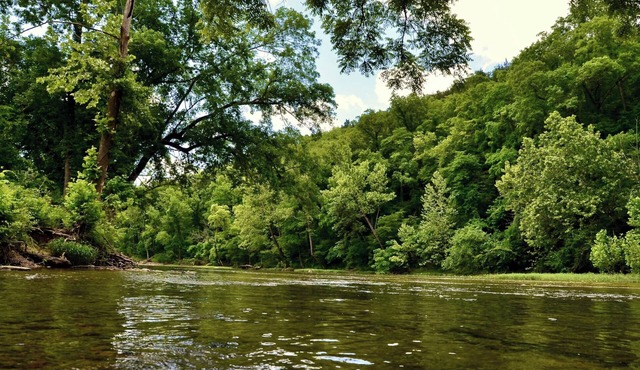 Experience the timeless charm of the Pinecrest Cabin, a delightful twist on the classic cabin style. Step inside and be greeted by the warm and rustic log cabin ambiance that will transport you to the heart of Branson, MO.