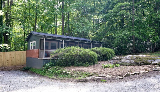 Explore & Bike from Upscale Cabin in Pisgah Forest