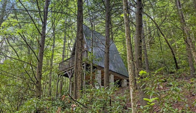 Fern Grove - Camping Cabin Retreat in RRG KY!