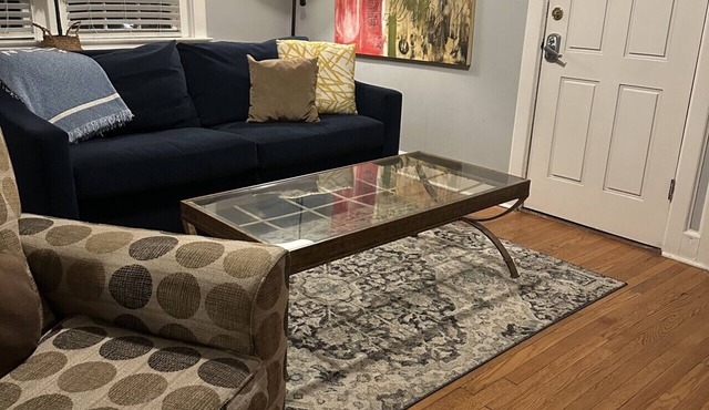 Fisher Park condo on Elm St., new kitchen, 1 mile from downtown
