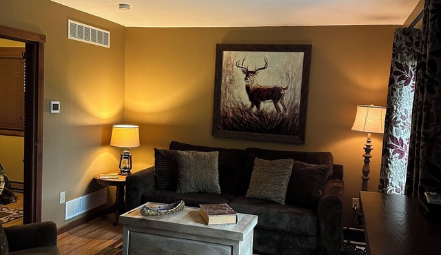 Friendly Fawn sleeps 4, or rent all 4 for 20. Horseback riding across the Rd!