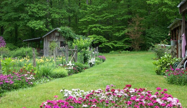 Garden of Eden Cabins