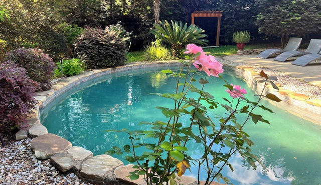 Gorgeous 4-bedroom house with a beautiful pool and a garden oasis.