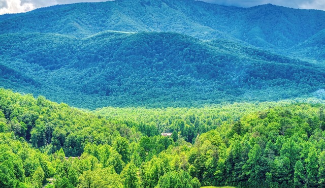 Grey Goose, Pickleball Court, Mountain Views, Starting at $69!