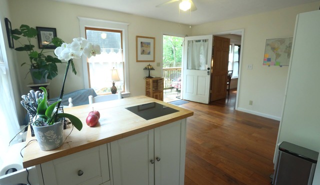 Hidden Gem! Sunny, Relaxing, Two-Room Apartment
