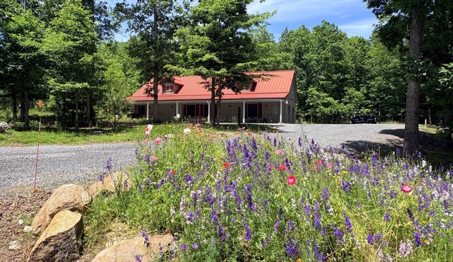 Homespun Cozy Guest Cottage in the Woods with Lovely Pastoral Views