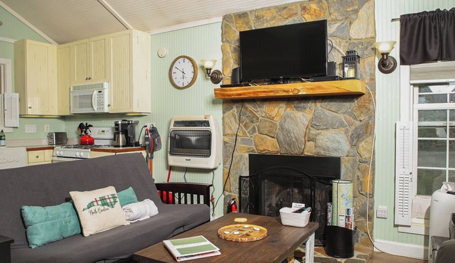Honeybear Hollow Cabin near Blue Ridge Parkway - pet-friendly
