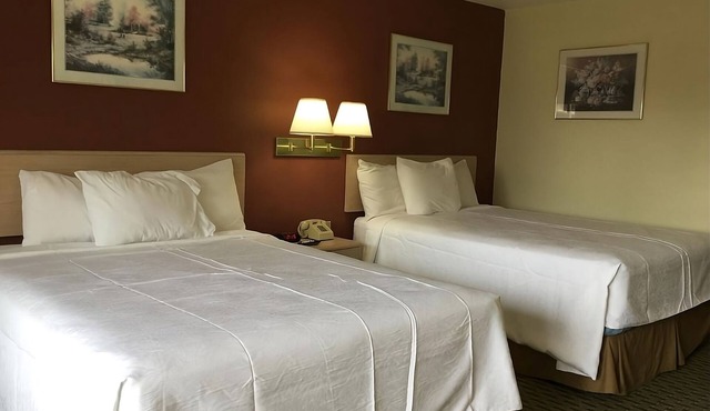 Just What You Were Looking For! 2 Serene Units, Free Parking & Breakfast, Pool