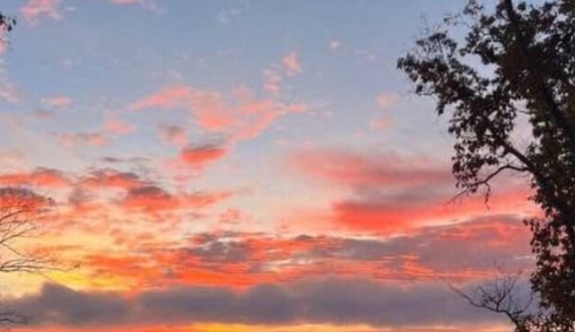 Lakefront 2BR 2BA cabin,Guntersville Lake iScottsboro, AL with spectacular views