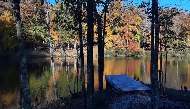 Lakefront Cottage: Pets welcome, low fees, special monthly discount