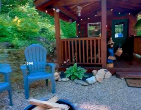Little Bear Tiny Cabin
