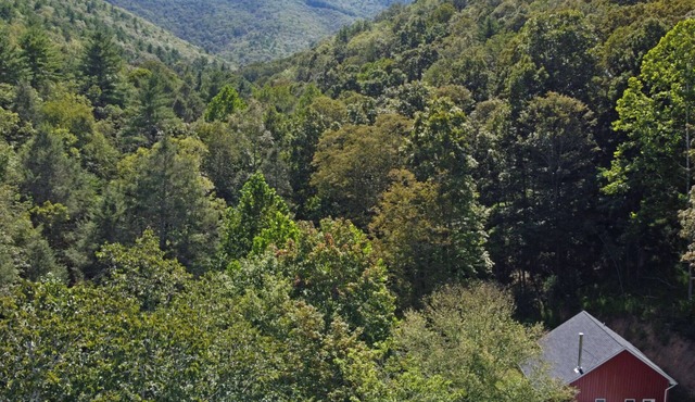 Little Red Cabin on 60 Acres with private National Forest Access, pond, fire pit