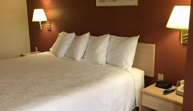 Look No Further! Free Breakfast & Parking, Pool, Minutes to Cambridge Park