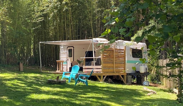 Magical little camper in the bamboo forest - Minutes to downtown Asheville! WiFi