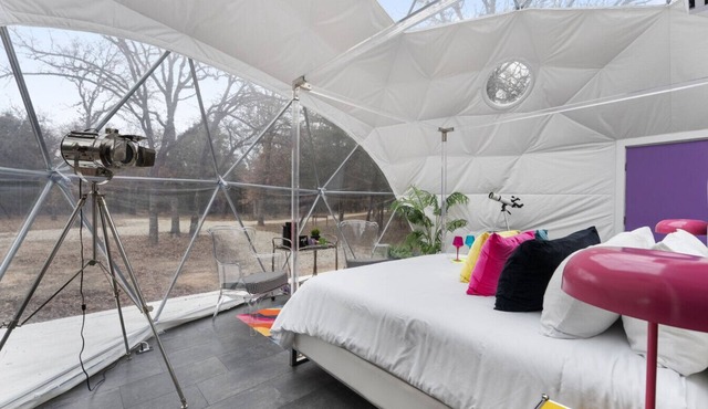 Mod Squad Dome