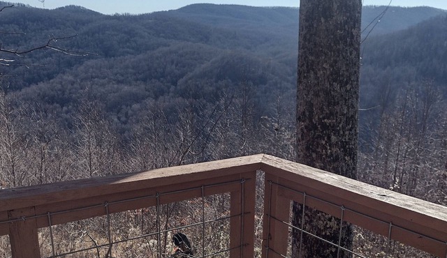 Oden’s Lookout at Valhalla Mountain- Studio Cottage