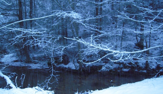 On a year-round creek with FREE High-Speed Wi-Fi! HOT TUB & Arcade game, 4 TVs
