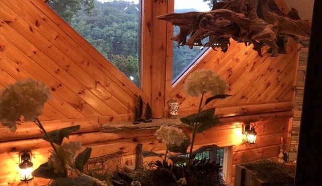 ONE OF A KIND LUXURY LAKESIDE TREE HOUSEPontoon, Ski, Hike, Rejuvenate