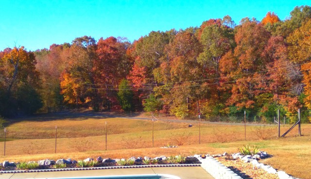Peaceful Pastures - Secluded Couple's Retreat