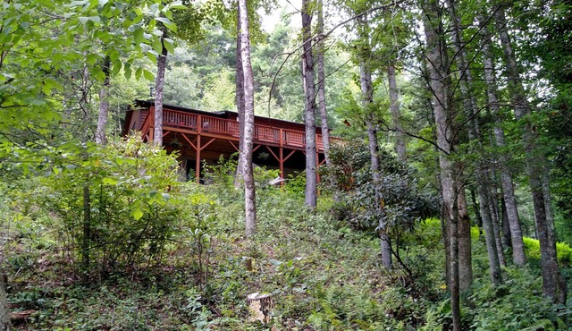 ★ Peaceful View ★ Serene & Cozy ★ Creek ★ Fire-pit ★ Fireplace ★ WiFI ★