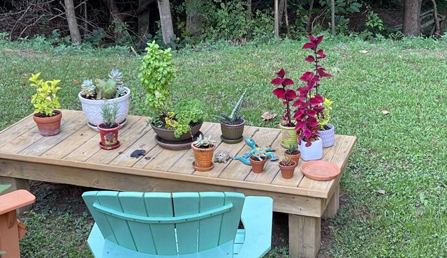 Pet Friendly Cozy Loft Apartment in Lake Lure