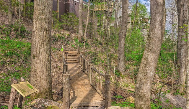 Pets Welcome: Quaint Blue Ridge Mountain Getaway!