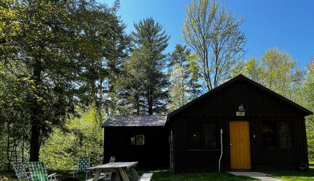 Pine at Hiawatha Cabins