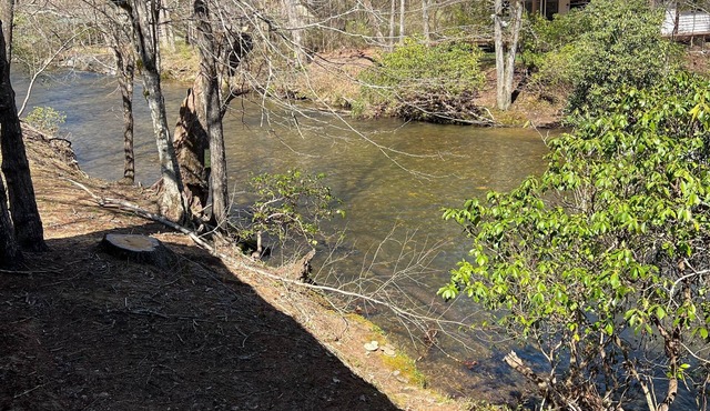 Pine River Cabin, River Front, Catch Release Fishing. Ranch Home, Dogs Ok