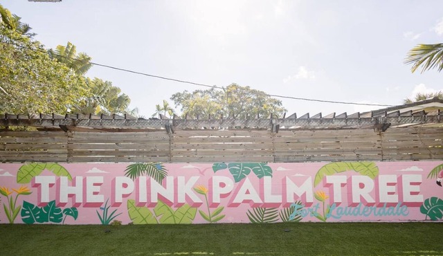 Pink Palm Pool Paradise: Perfect Place for Photos