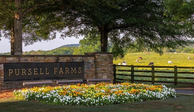 Pursell Farms