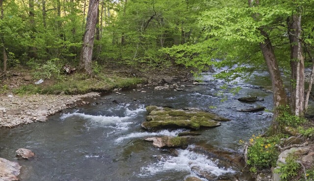 Quaint Cabin on Cosby Creek/Close to Gatlinburg
