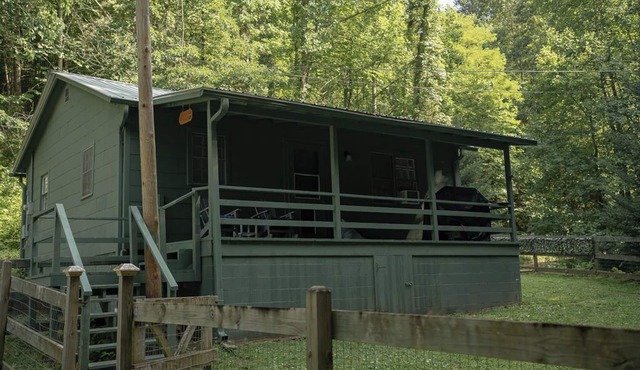 REMOTE, Cheerful Mountain Cabin with hot tub in Franklin, NC.